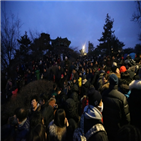 행사,취소,해맞이