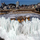 축제,인삼송어,홍천군,투입