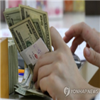 환율,달러