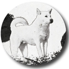 한국,3만,경제,인상,돌파