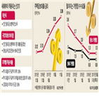 가상화폐,정부,금융회사,기능,이자,기존,회장,대출,주요