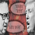 북한,미국,오판,한반도,폴리티코,전쟁,우려,분석,무기