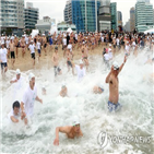 북극곰,겨울,수영축제