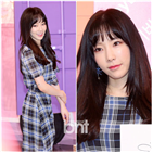 태연