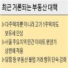 대책,가능성,추가,대출,기존