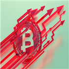 헤지펀드,지난해,가상화폐