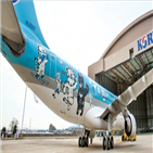 대한항공,동계올림픽,평창