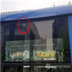 버스,까치,총탄,전신주,한국전력공사