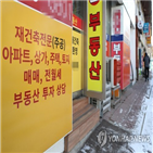 정부,강남,재건축,거래,중개업소,매물,대책