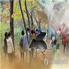 흑사병,인간,모델,유럽