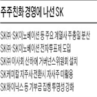 sk,주주,기업,지난해,자사주,주요