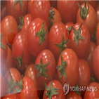 개발,농산물,지역