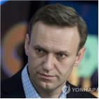 결정,나발,푸틴,대항마,대법원