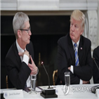 애플,달러,투자