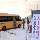 분변,야생조류,농가