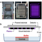 플라스마,필름,연구팀,제거,기술,바이오