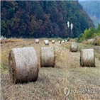 산촌,산촌인구,인구,소멸,귀산촌,이상