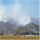 전남,순천,보성