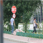 북한,노동자,몽골,노동허가,지난해