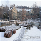 검사,이대,법조인