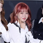 위키미키,최유정