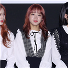 위키미키,최유정