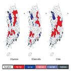 지역,유병률,뇌졸중,고혈압,당뇨병,분석