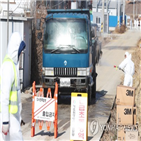 야생조류,검출,고병원성