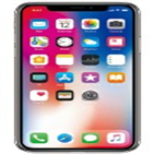 아이폰,애플,전화,화면,최대,사용자,판매량