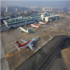 이용객,대구공항,올해,공항