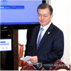 대통령,개헌안,합의