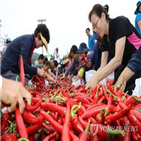 축제,청양