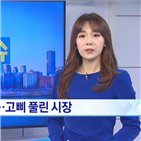 정부,시장,재건축,정책,집값,대한,부동산