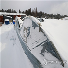 피해,폭설,한파