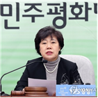 개헌,대표,민주주의,약속