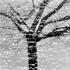 작가,빛나,한경