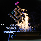 선수,평창올림픽,대회