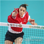 인삼공사,도로공사,승점