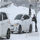 눈길,병원,제주시,교통사고