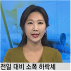 가상화폐,비트코인,스위스,캐쉬,흐름