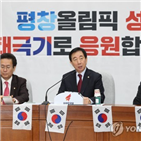 북한,성공,한국당,평양올림픽,정부