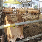 자료,통계,사육,조사,통계청