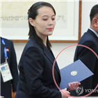 김여정,대통령,제1부부장,대표단,북측