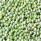 수매물량,확대,올해