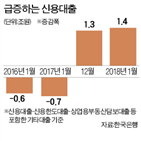 신용대출,가상화폐,금융당국,증가,카카오뱅크,관리