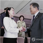 북한,보고,특사,김여정,입장,대통령,미국