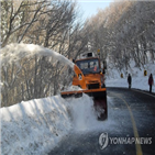 산지,제주도,도로,해제