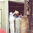 중국,홍콩,감염자,사례,보고