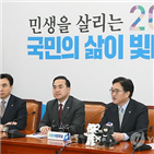 개헌,국회,임시국회,국민,원내대표