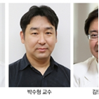 면역세포,방관자,바이러스,연구팀,활성화